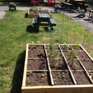 New children’s garden at the library. (Photos/submitted)