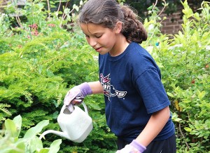 Nurturing a green thumb in Southborough