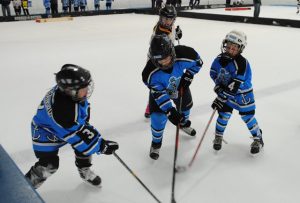 After warm winter, Shrewsbury Youth Hockey embraces indoor pond hockey