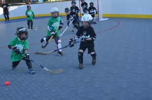 Young dek hockey fans play a fast-paced game in Hudson. (Photo/Paul LaVenture)