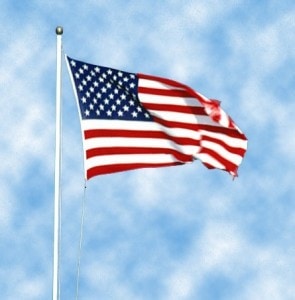 US Flag_crop