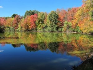 Two nature walks in Westborough Oct. 15
