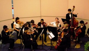 The WHS String Chamber Ensemble perform an arrangement of pop-culture and classical pieces at the Spring Dinner Concert.