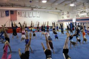 Westborough gymnasts help break handstand record
