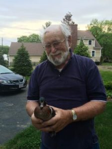 Westborough Animal Control Officer John Keefe holds the rescued mallard. 