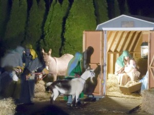 Last year’s Living Nativity at St. Stephen’s Church. (Photo/submitted)