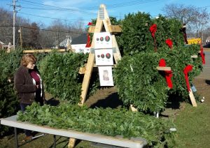 Westborough Civic Club relocates its 42nd tree sale
