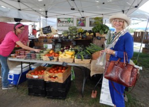Irene Farano peruses the plethora of offerings from Harvey’s Farm of Westborough.  