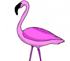 Westborough Girl Scouts hold  &#8220;Flamingo Flocking&#8221; fundraiser