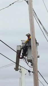 A raccoon is successfully rescued off a National Grid pole. Photo/courtesy Karen Blakeney