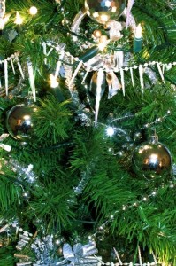 Marlborough Hospital to hold 12th annual Tree of Light event