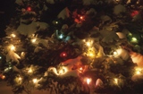Emerson Hospital Auxiliary to kick off holiday season with tree lighting